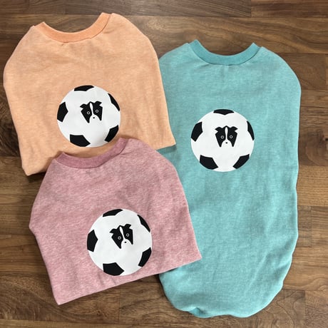 サッカーボーダー  の柄無し