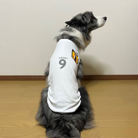 【名入れ無料】ＪＢＡタンクトップ