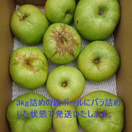 訳あり・数量僅か!!　クッキングアップル【ブラムリー】3kg バラ詰め（送料込）