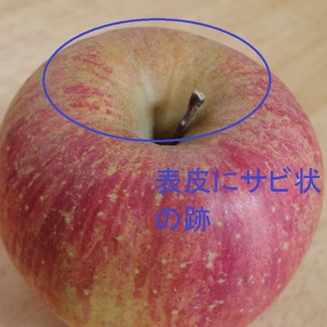お買い得!!【訳あり】家庭用 サンふじ 10kg
