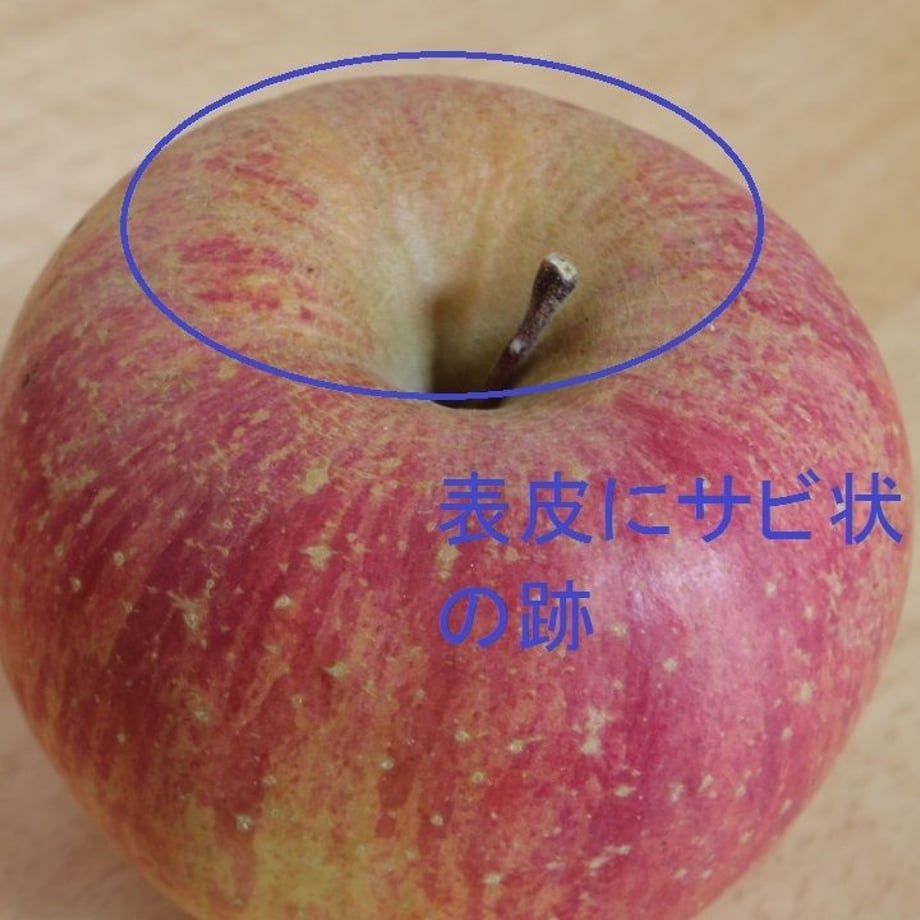 5a1d8bef92d75f24dc002f79