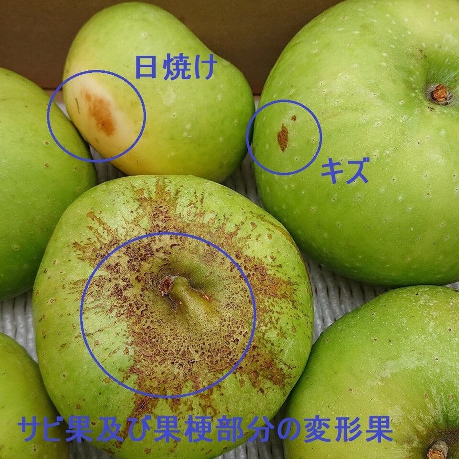 5f54d7a79d28426698afdbc6
