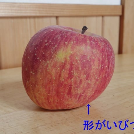 お買い得!!【訳あり】家庭用 サンふじ 10kg