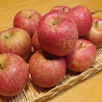 お試し価格!!【訳あり】家庭用 サンふじ 3kg