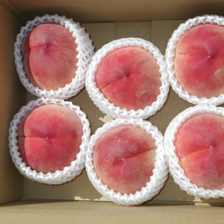 美味しい朝取りモモ【あかつき】3kg