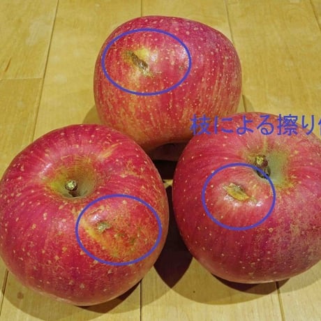 お試し価格!!【訳あり】家庭用 サンふじ 3kg