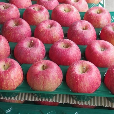 お買い得!!【訳あり】家庭用 サンふじ 5kg