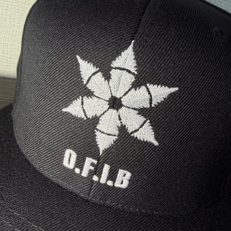 OFC 6panels cap