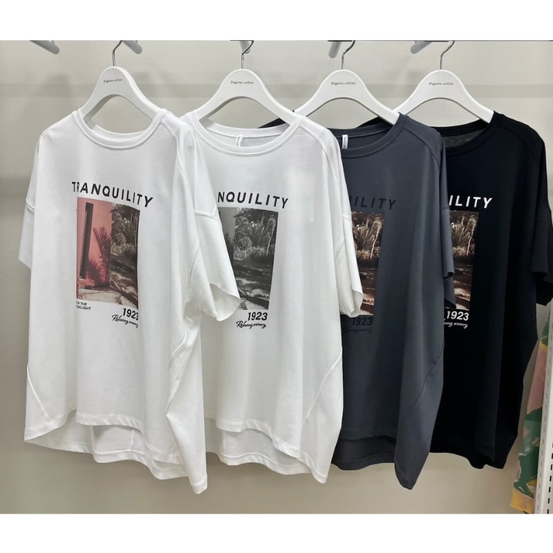 Dignite collier】ワイドフォトT | selectshop kusukusu Dignite collier】ワイドフォトT | selectshop kusukusu