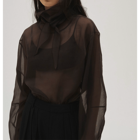 【TODAYFUL】Sheer Tie Blouse　※納期4月中旬〜5月中旬