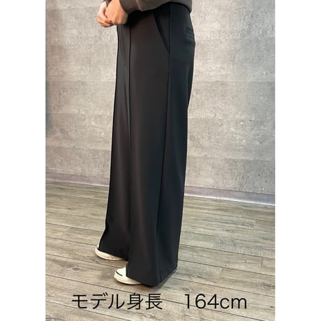 再販✨【限定✨TALL SIZE】ピンタックバックブラッシュワイドパンツ