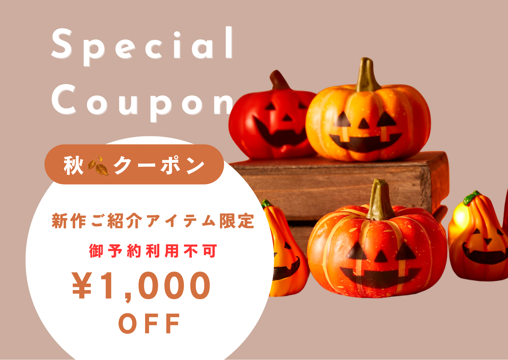 CATEGORY CYNICAL 23aw | selectshop kusukusu