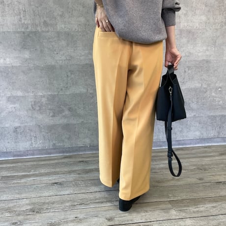 再販✨【Anna Kerry】ピンタックバックブラッシュワイドパンツ