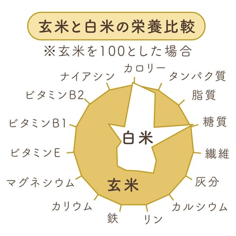 有機玄米米粉カレー/粉末タイプ