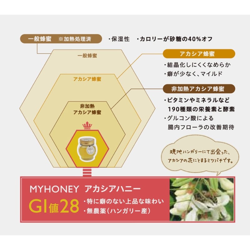 MY HONEY（マイハニー）アカシア生蜂蜜チューブボトルタイプ500g：箱
