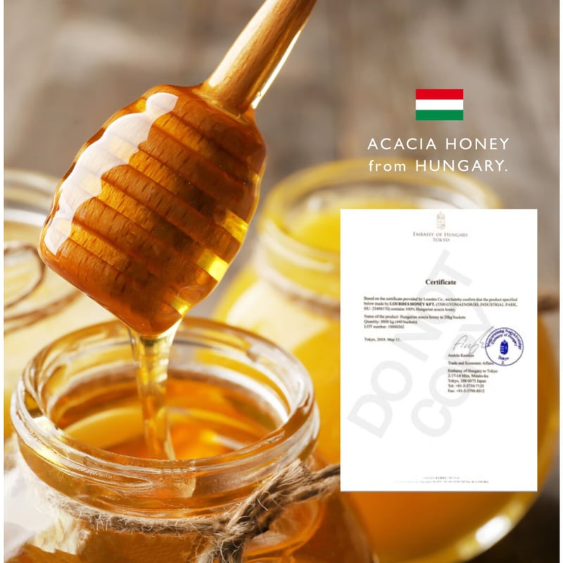 MY HONEY（マイハニー）アカシア生蜂蜜チューブボトルタイプ500g：箱