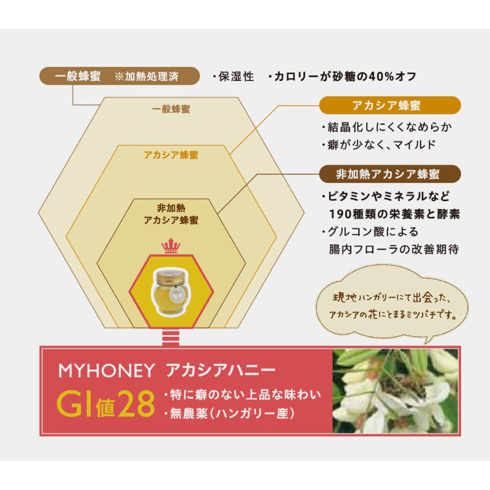 MY HONEY（マイハニー）アカシア生蜂蜜チューブボトルタイプ500g
