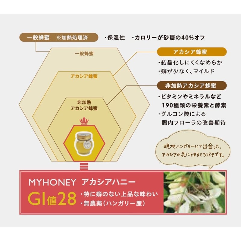 MY HONEY（マイハニー）アカシア生蜂蜜チューブボトルタイプ