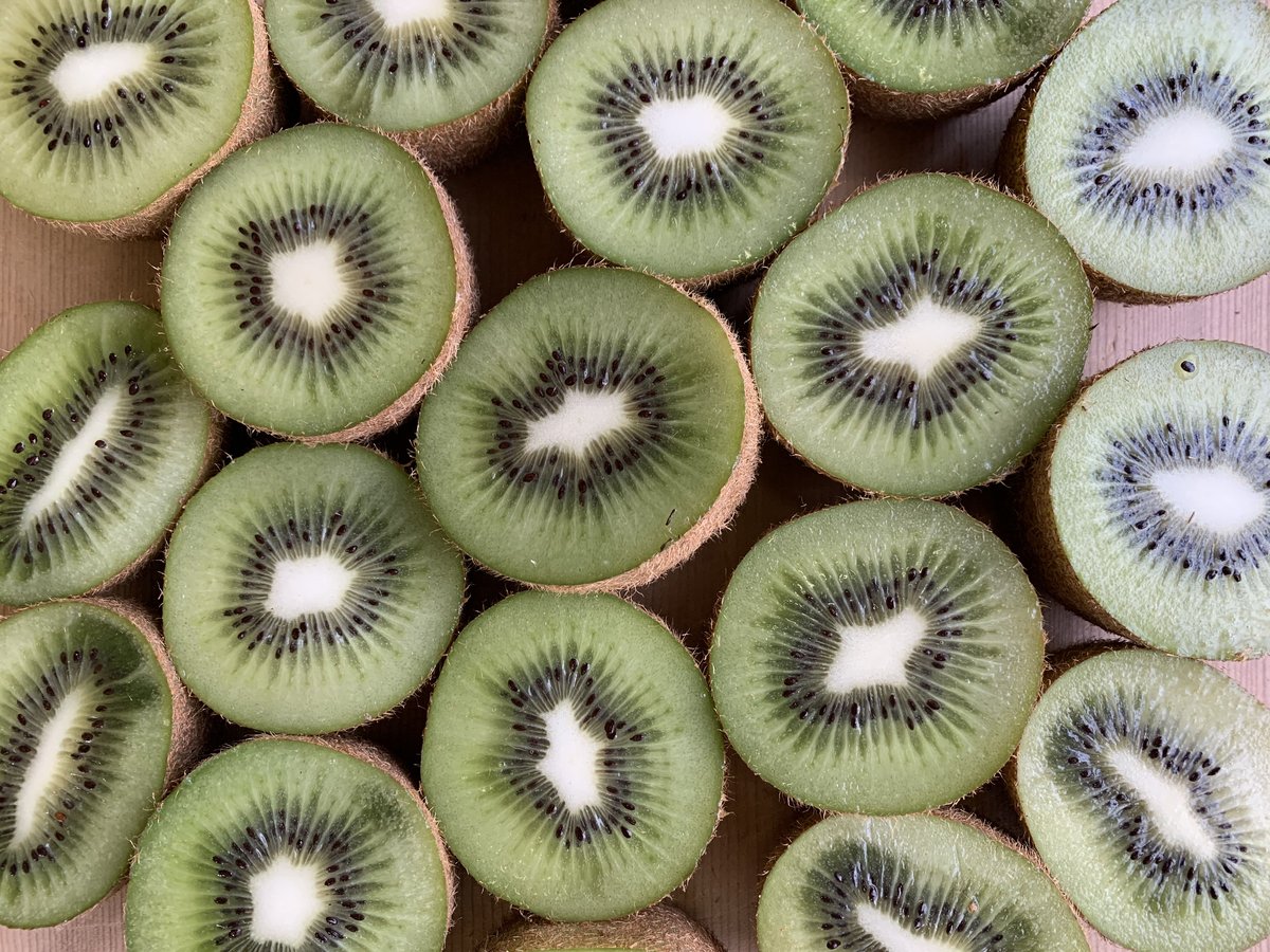DRIED FRUITS ( ドライフルーツ ) - KIWI ( キウイ ) | FROM