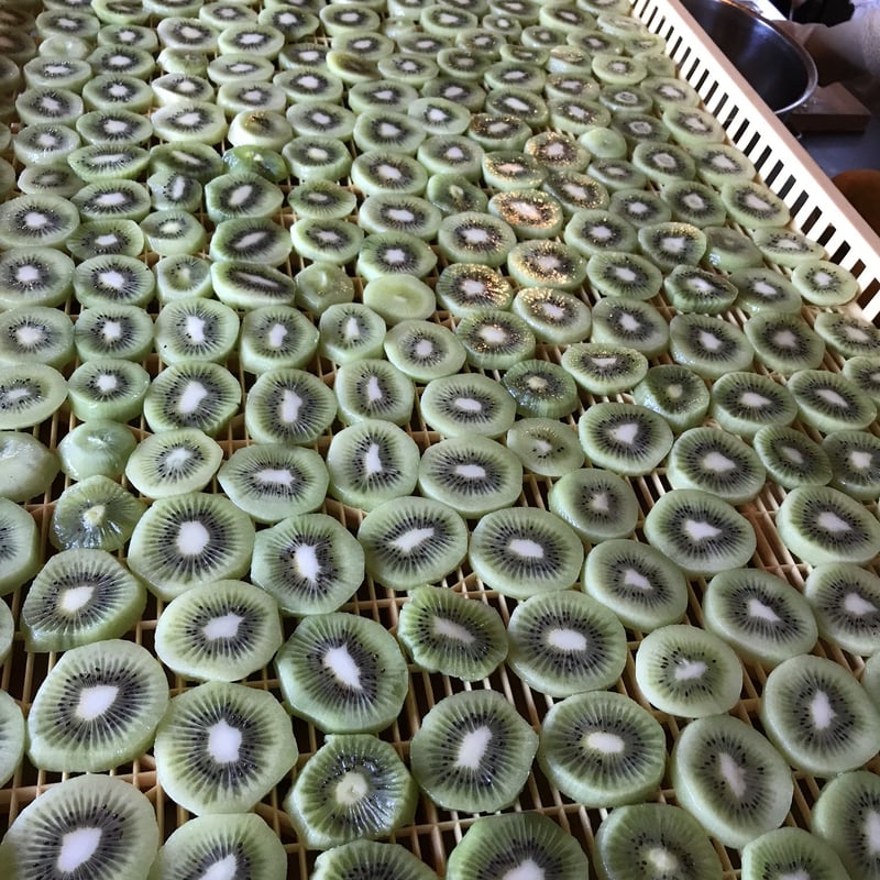 DRIED FRUITS ( ドライフルーツ ) - KIWI ( キウイ ) | FROM