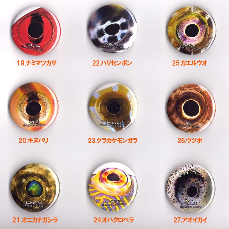 魚の目缶バッジ | TRITON