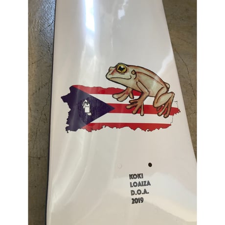 Koki Frog