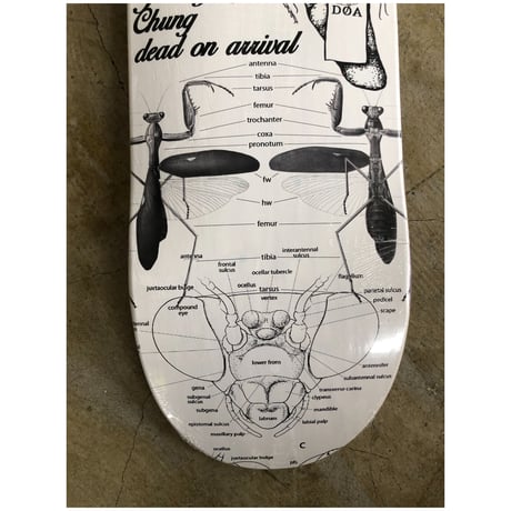 D.O.A. Jimmy Chung "Mantis"