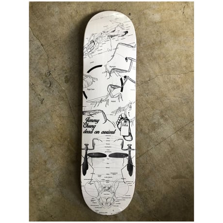 D.O.A. Jimmy Chung "Mantis"