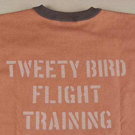 TOYS McCOY トイズマッコイ  TWEETY BIRD "FRIGHT TRAINING" TMC1909