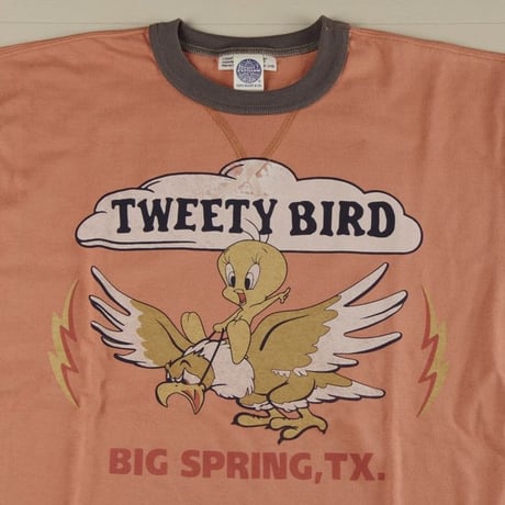 TOYS McCOY トイズマッコイ  TWEETY BIRD "FRIGHT TRAINING" TMC1909
