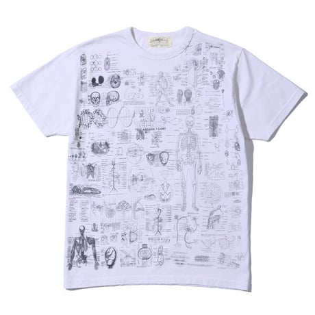 SUGAR CANE シュガーケーン "FICTION ROMANCE"  TEST ANSWER T-SHIRT “BLINDED BY SCIENCE”  SC78985