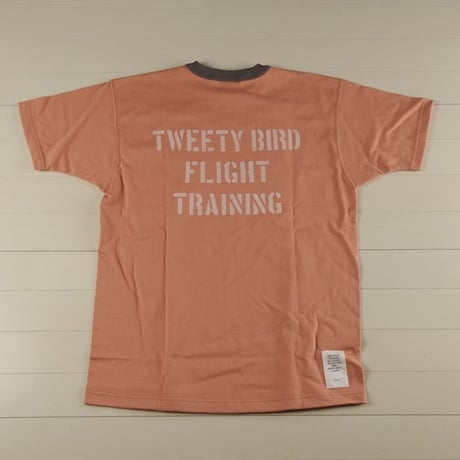 TOYS McCOY トイズマッコイ  TWEETY BIRD "FRIGHT TRAINING" TMC1909