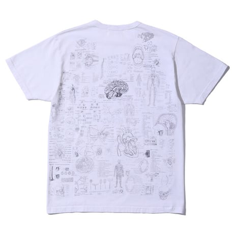 SUGAR CANE シュガーケーン "FICTION ROMANCE"  TEST ANSWER T-SHIRT “BLINDED BY SCIENCE”  SC78985