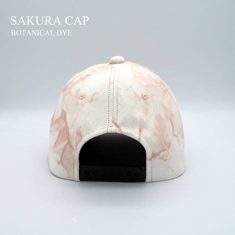 SAKURA CAP：1905MensCurveBrim