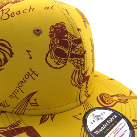 ALOHA CAP：20612