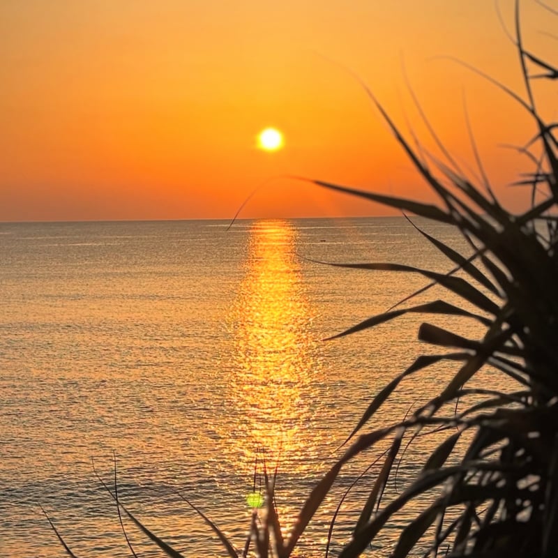 AMAMI DOROZOME CAP～旅する泥染め～:03 | W@NDERFABRIC®ON