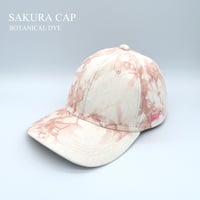 SAKURA CAP：1905MensCurveBrim