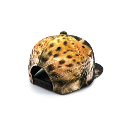OSAKAnoOBACHAN CAP：B