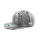 ECHIZENORI CAP : アッシュウッド