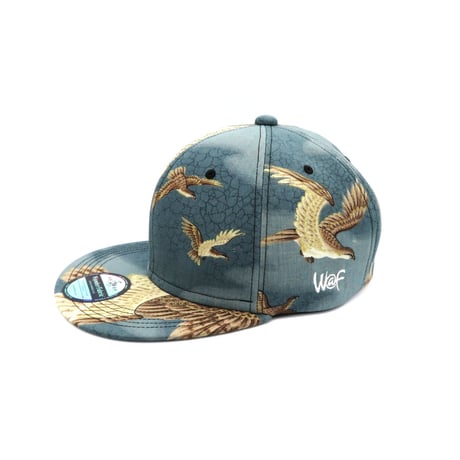 OLD K CAP-XL-：201116