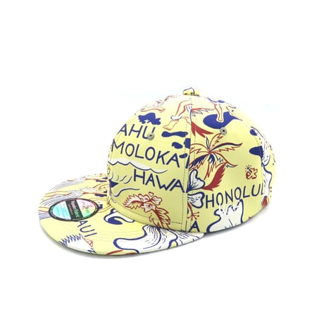 ALOHA CAP：206081