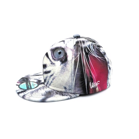 OSAKAnoOBACHAN CAP：C