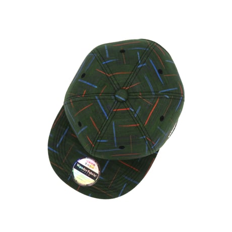 HONJOKASURI CAP:312