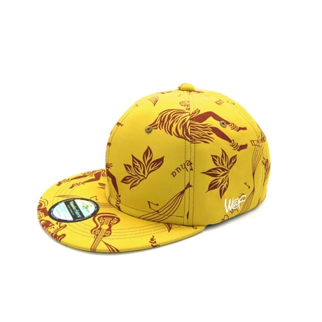 ALOHA CAP：20612