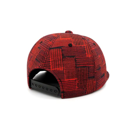HONJOKASURI CAP:302