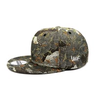 KIRYUORI PREMIUM CAP:群鶴