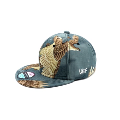 OLD K CAP-ML-：201116