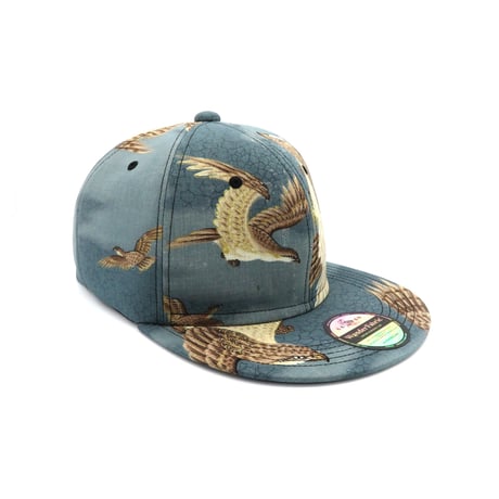 OLD K CAP-ML-：201116