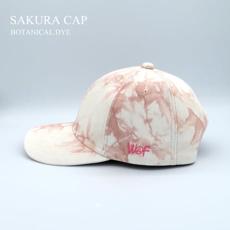 SAKURA CAP：1905MensCurveBrim