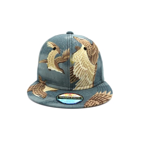 OLD K CAP-ML-：201116